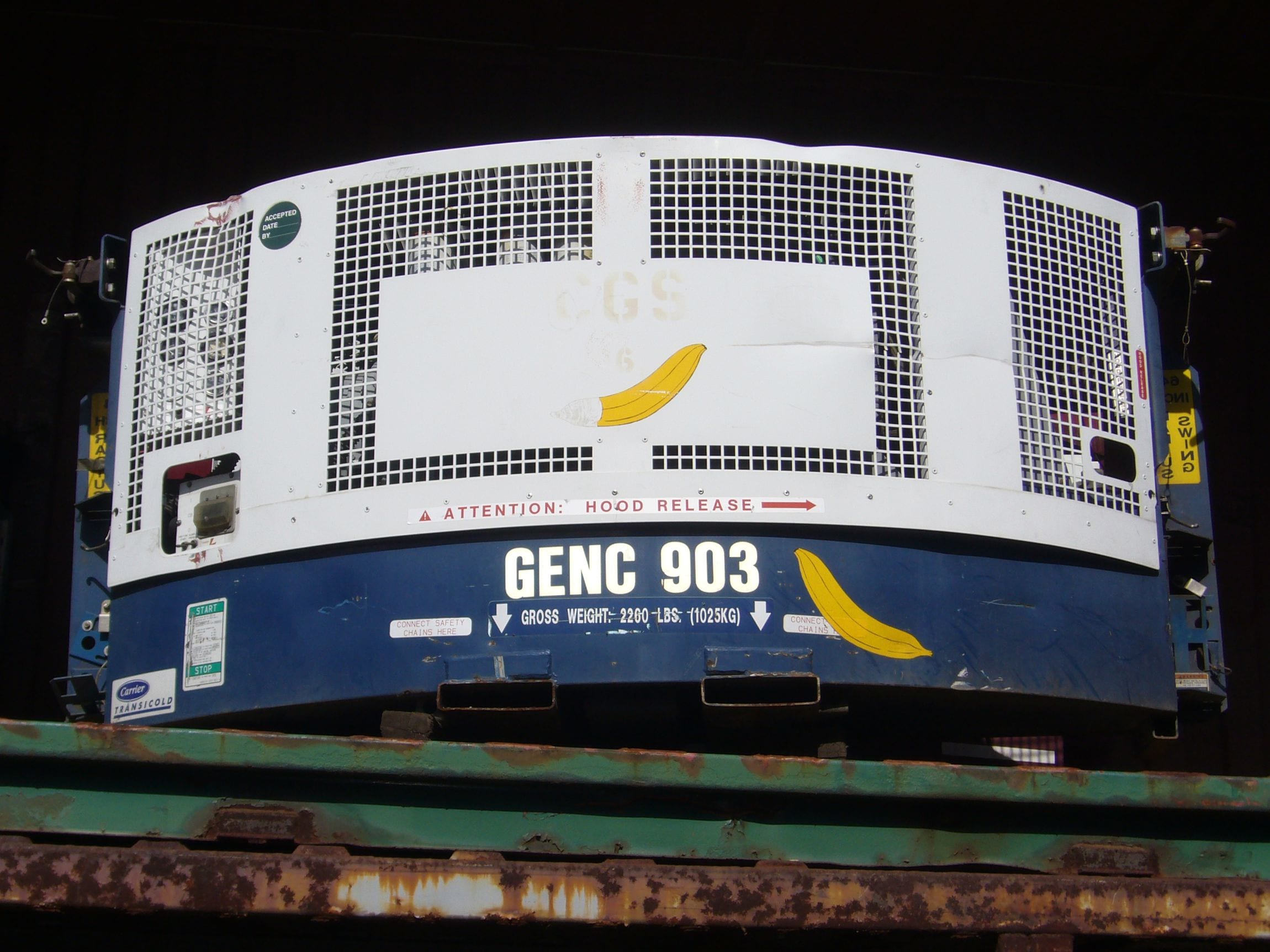 TRS sells and rents Diesel Generator sets that power reefer containers